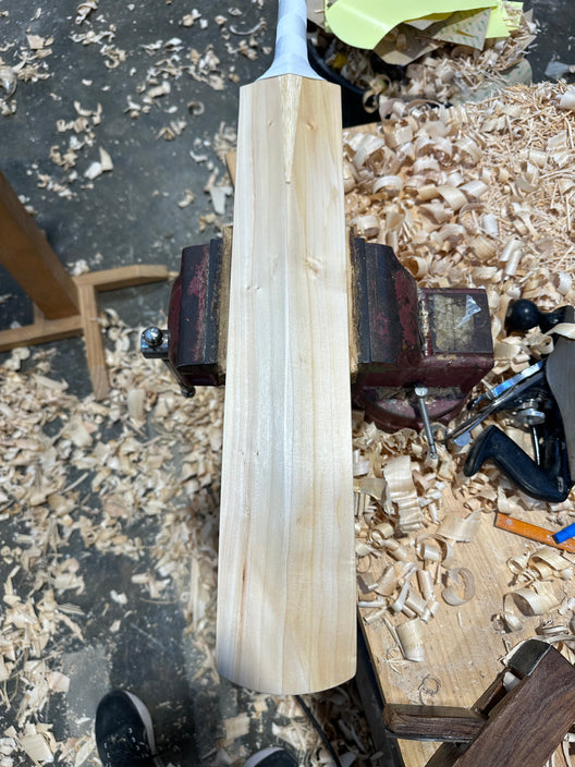JPGavan Test Cricket Bat - 069