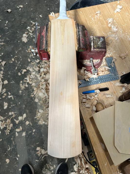 JPGavan Performance Cricket Bat - 070