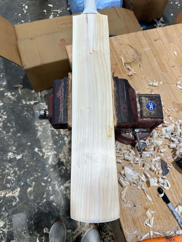 JPGavan Little Ripper Cricket Bat - A02