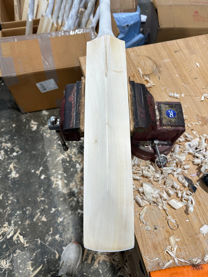 JPGavan Little Ripper Cricket Bat - A04