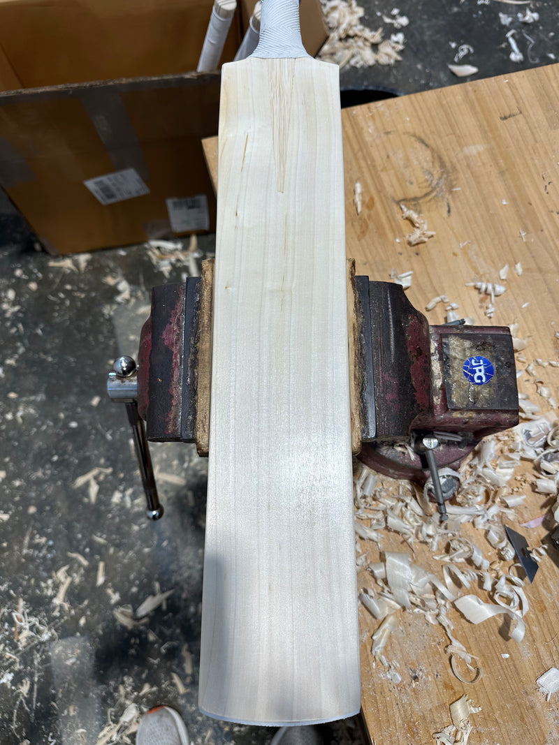JPGavan Little Ripper Cricket Bat - A16