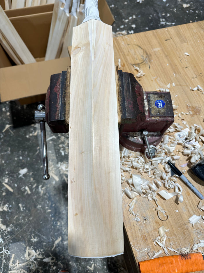JPGavan Little Ripper Cricket Bat - A25
