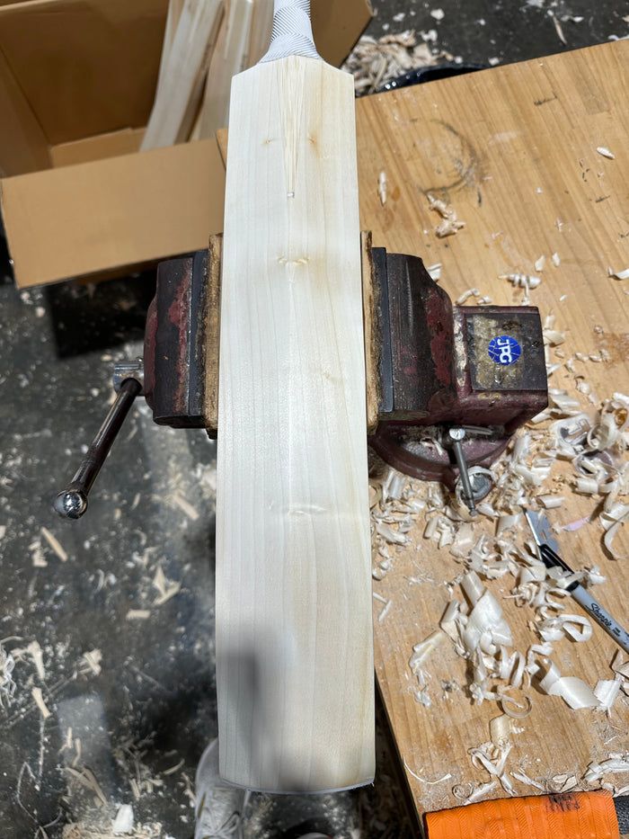 JPGavan Little Ripper Cricket Bat - A29