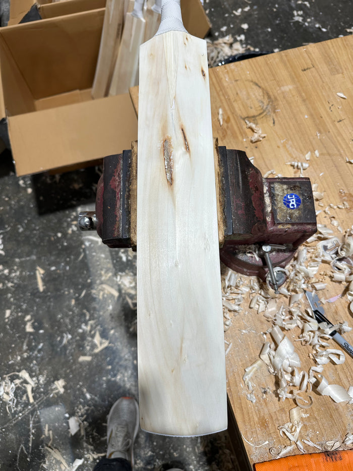 JPGavan Little Ripper Cricket Bat - A30