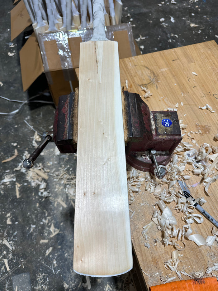 JPGavan Little Ripper Cricket Bat - A32