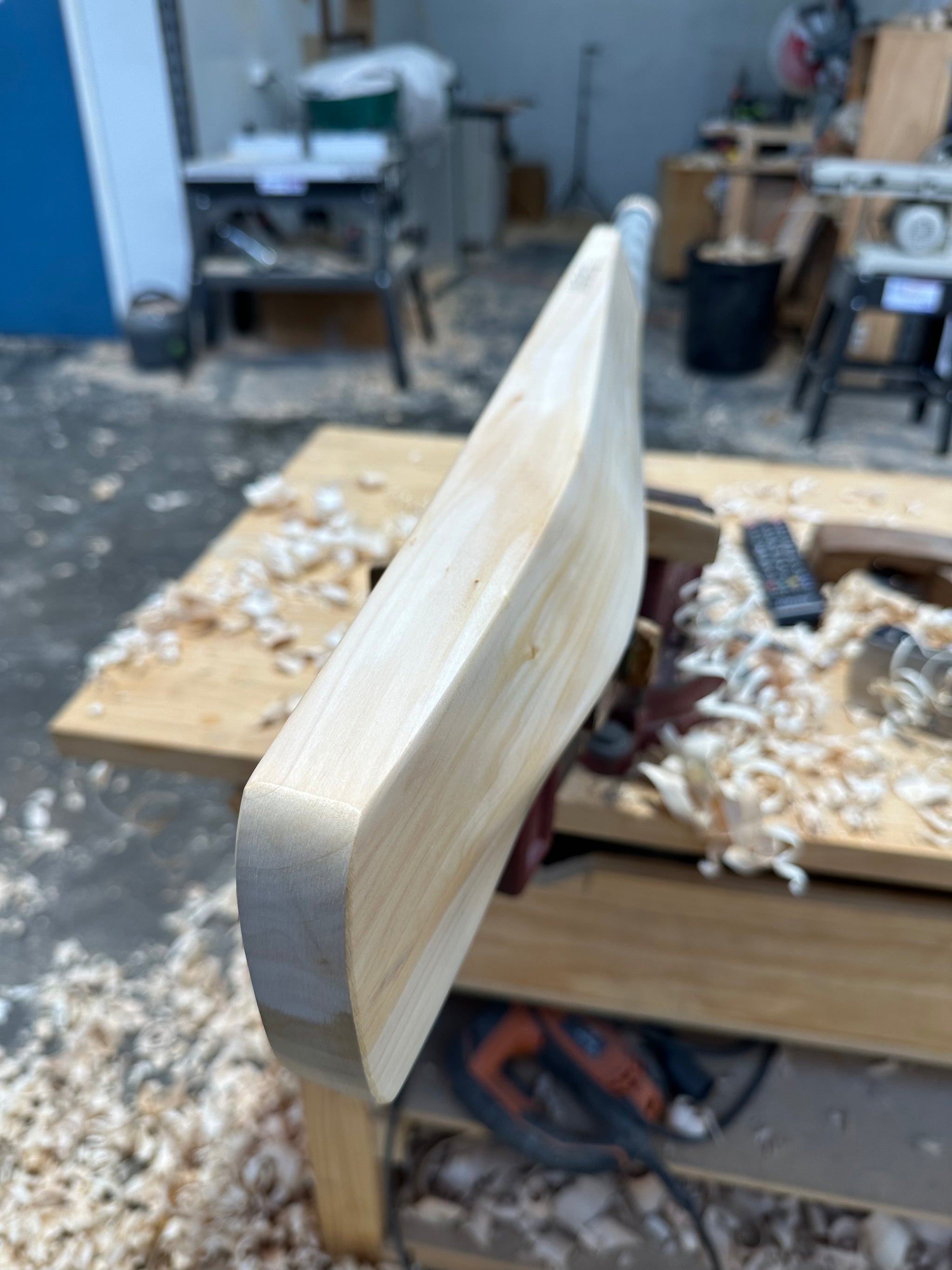 JPGavan Limited Edition Cricket Bat - 094