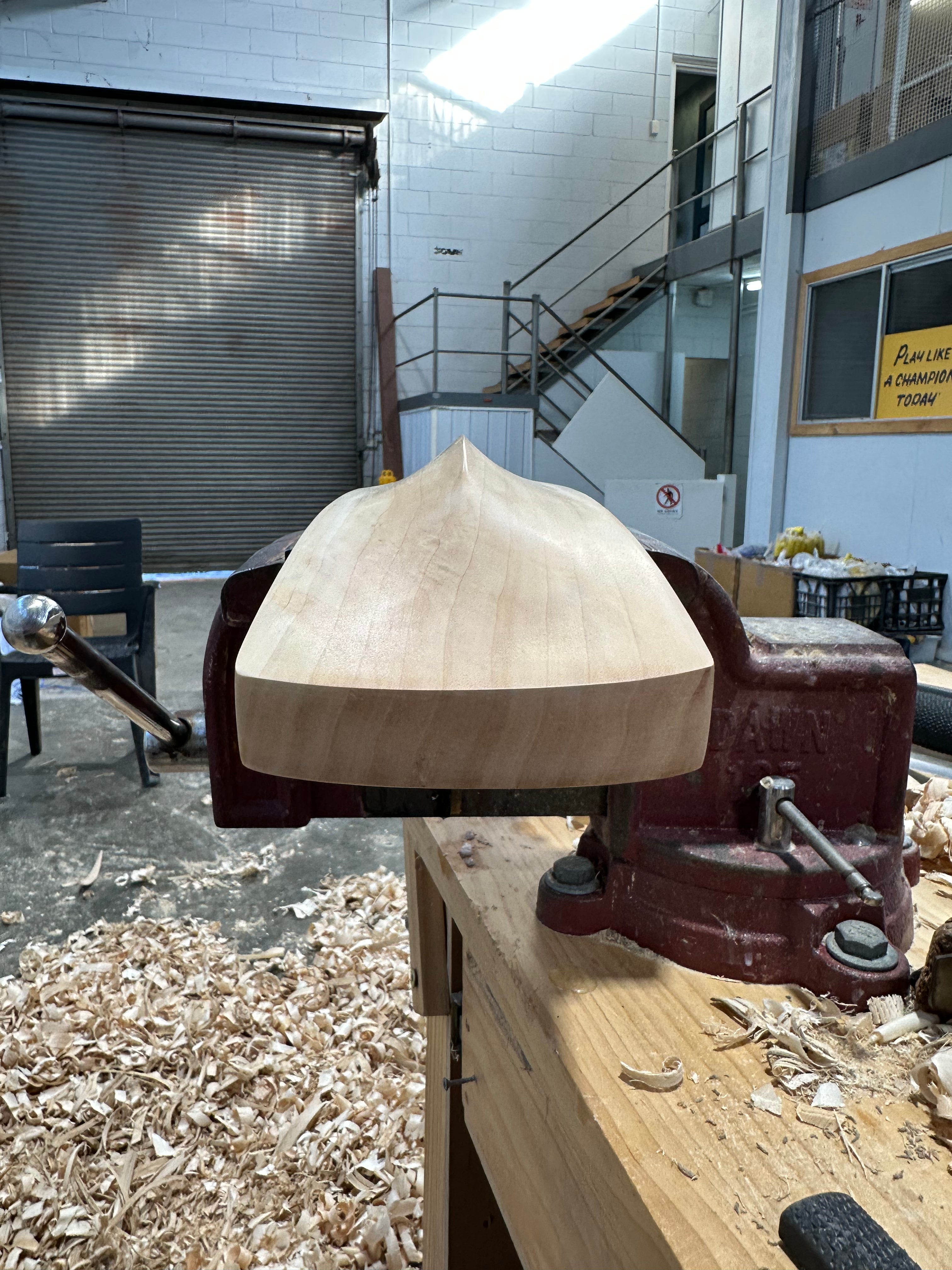 JPGavan Performance Cricket Bat - 203