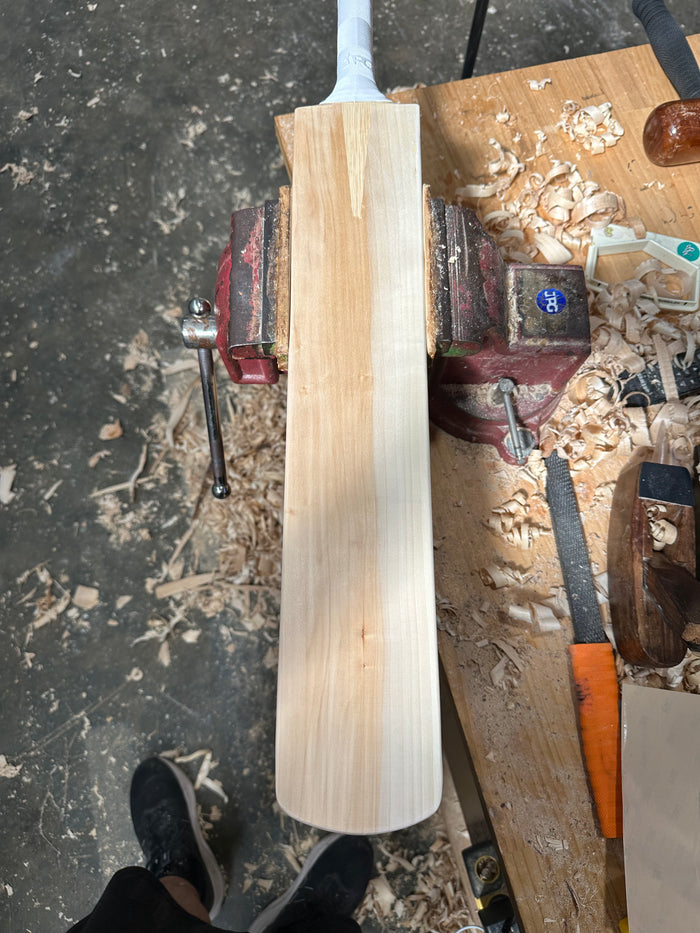 JPGavan Performance Cricket Bat - 566 TORPEDO