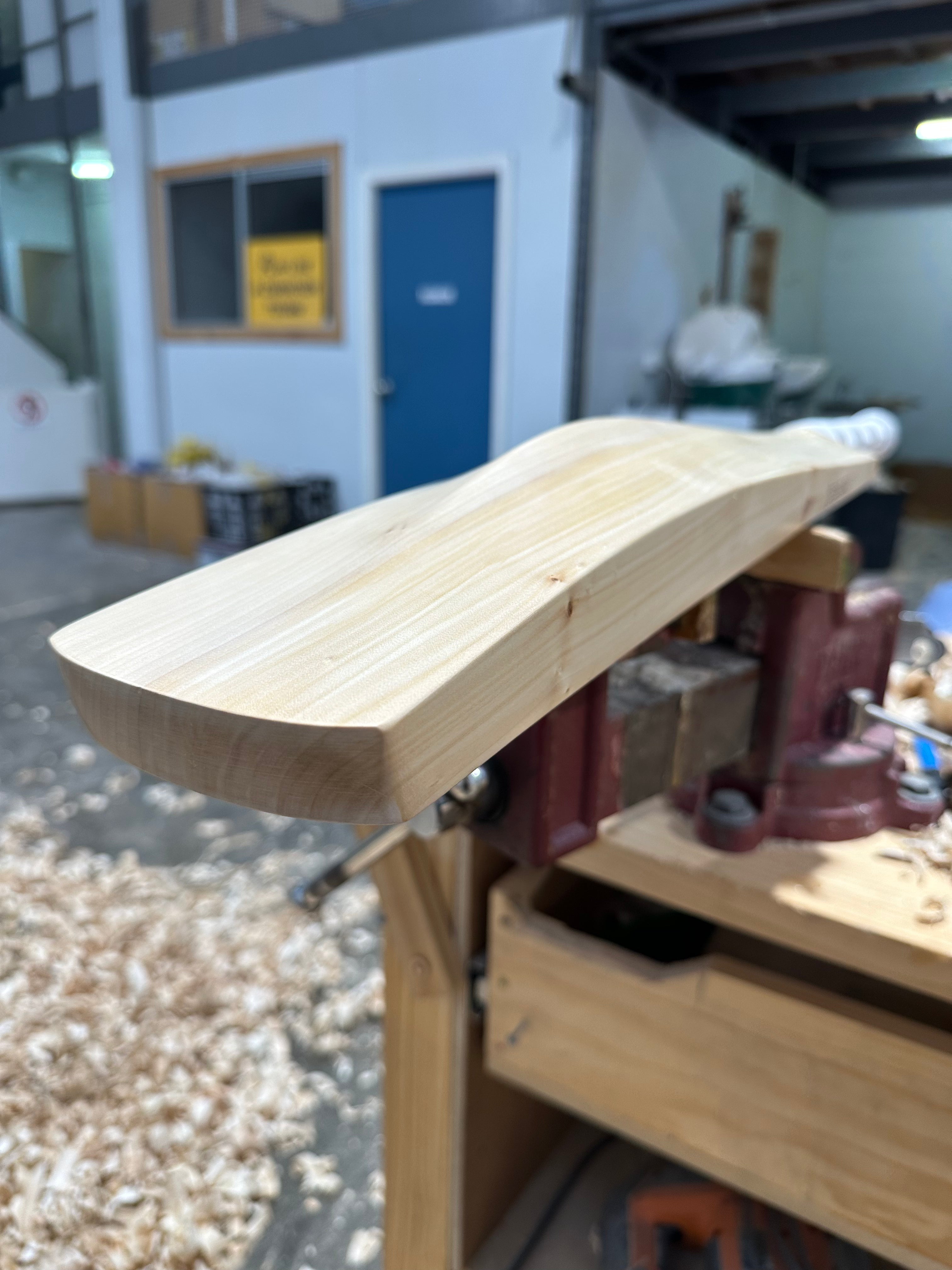 JPGavan Professional Plus Cricket Bat - 221