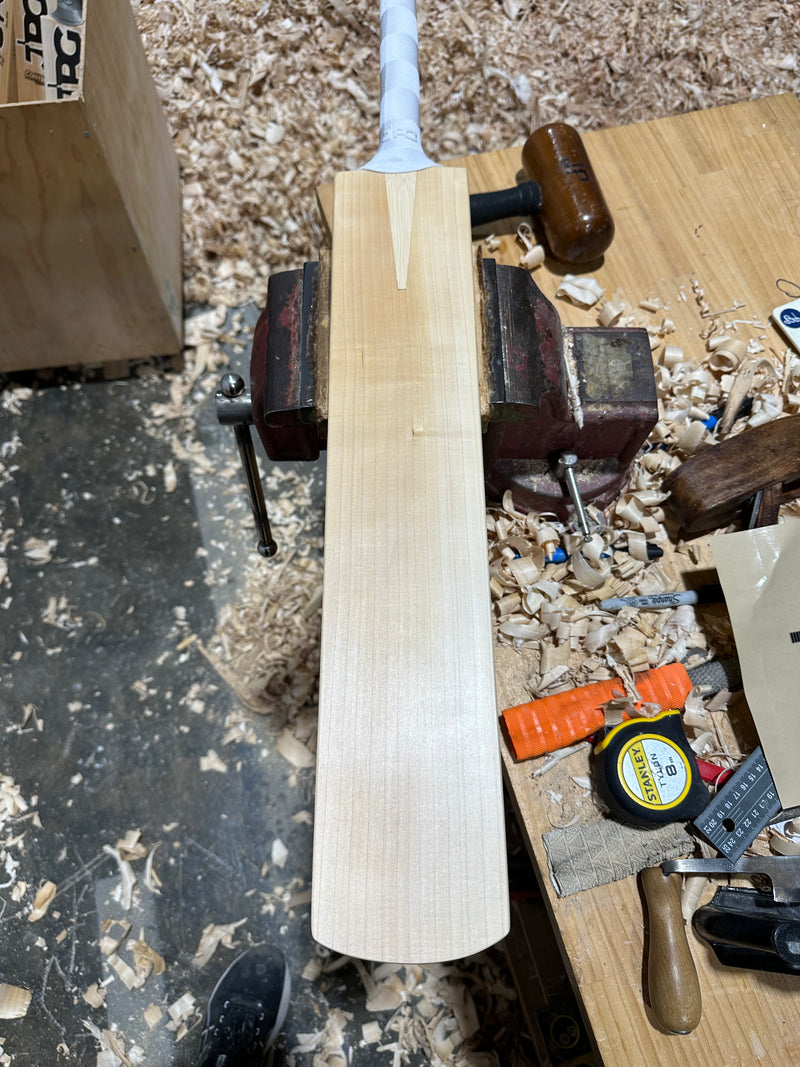 JPGavan Professional Plus Cricket Bat - 246