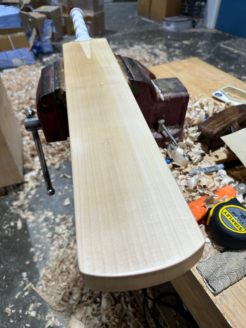 JPGavan Professional Plus Cricket Bat - 246