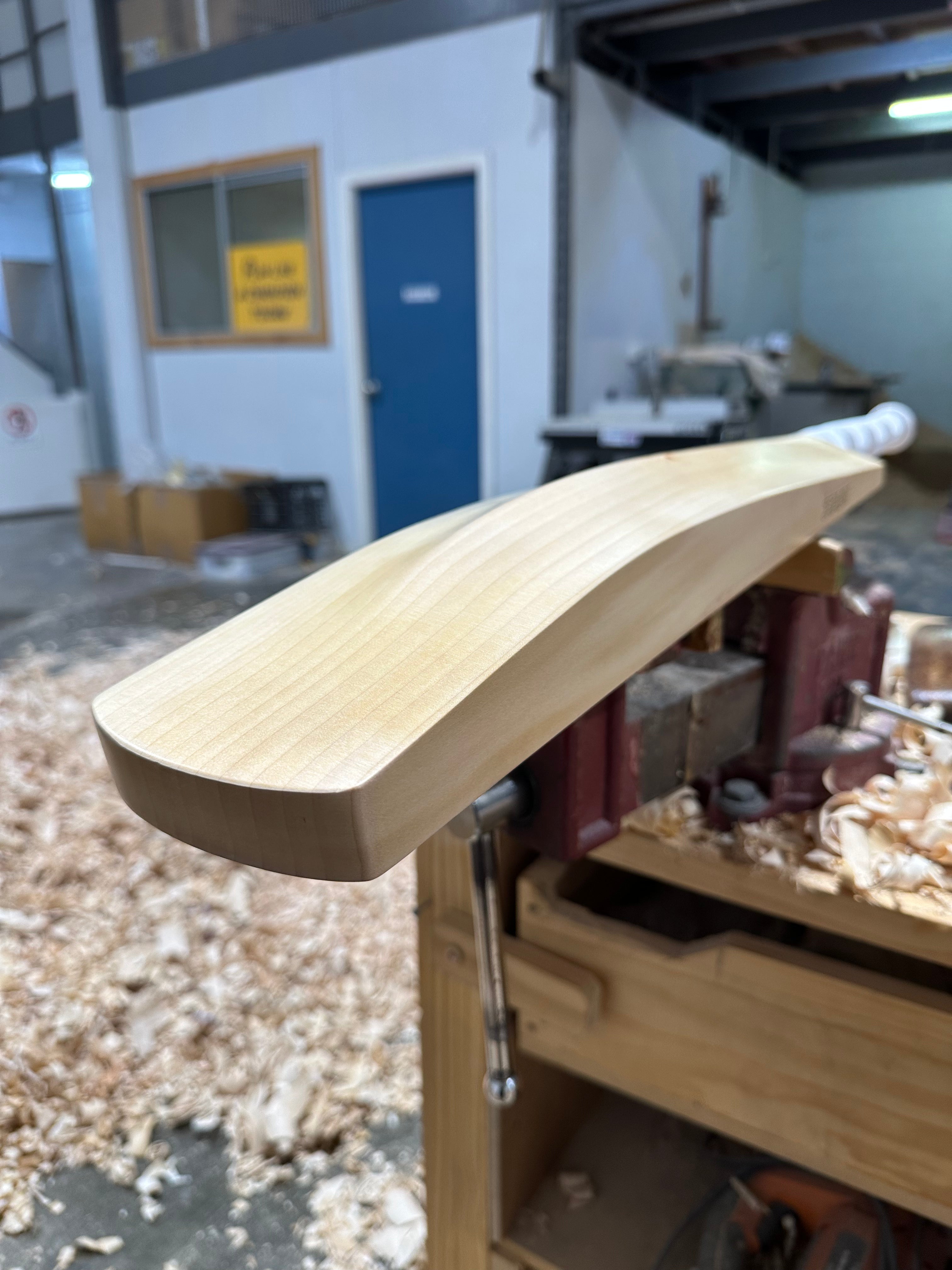 JPGavan Professional Plus Cricket Bat - 246