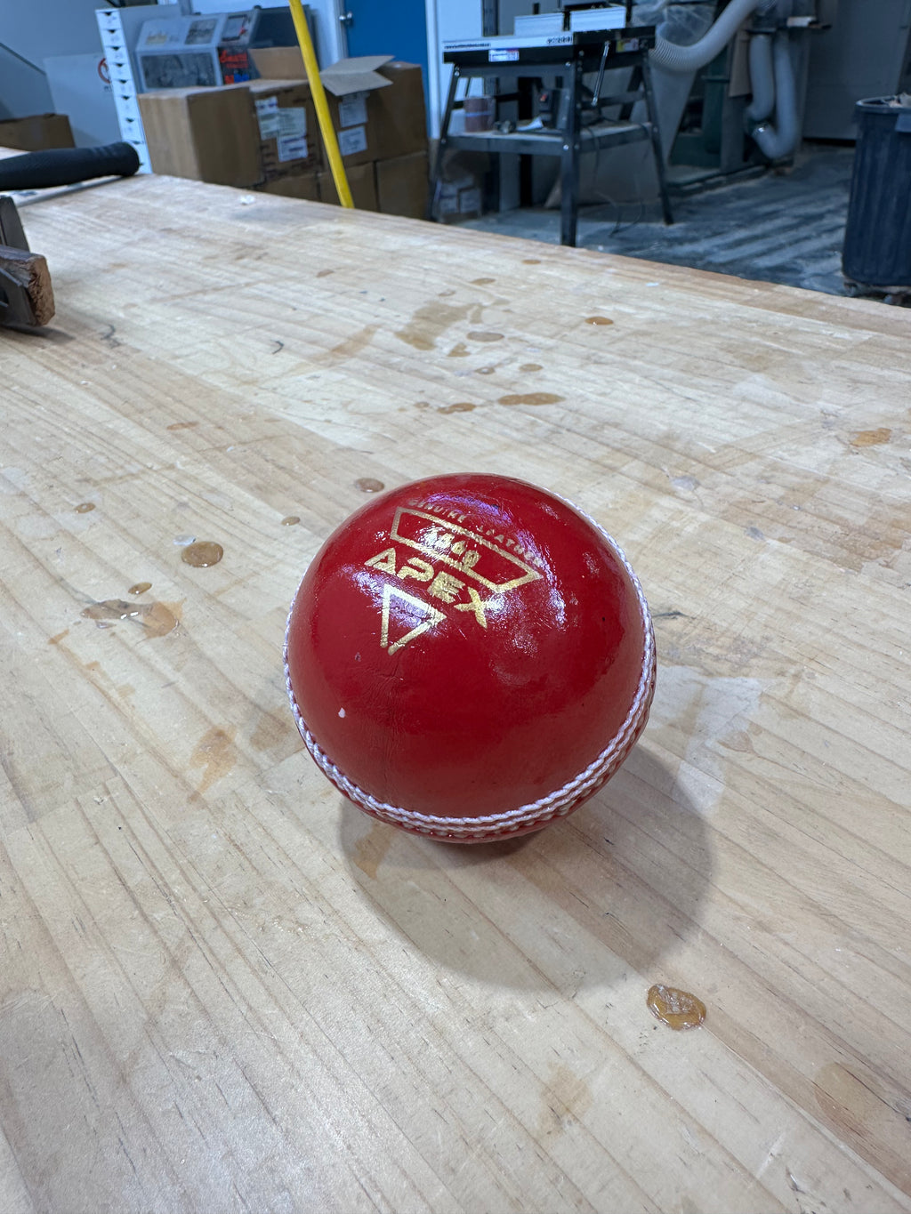 JPGavan Apex 156g leather cricket ball