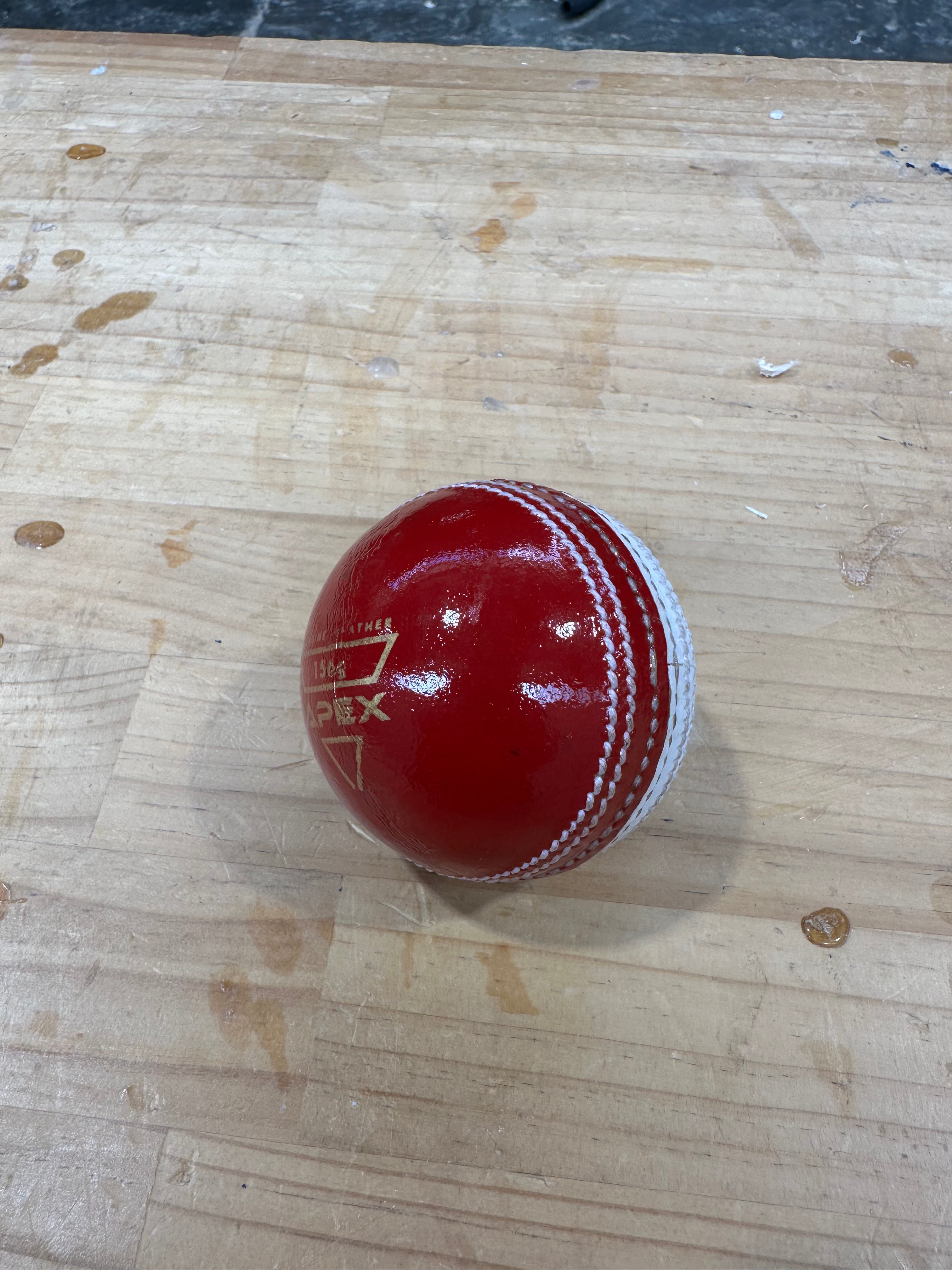 JPGavan Apex 156g leather cricket ball