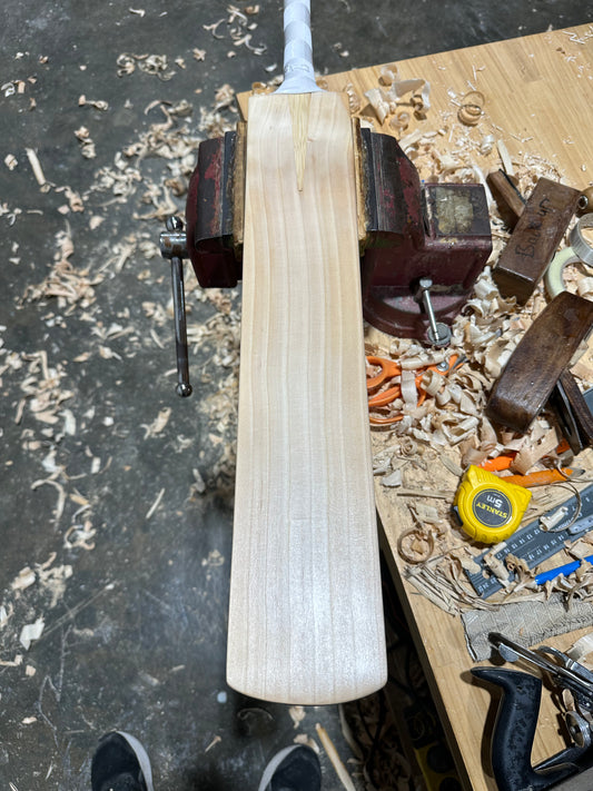 JPGavan Limited Edition Cricket Bat - 019
