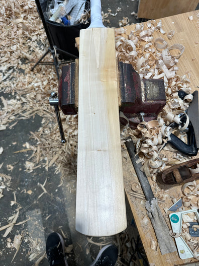 JPGavan Performance Cricket Bat - 029