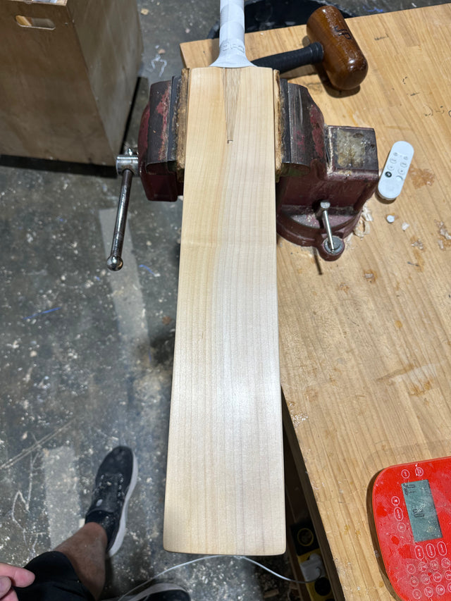 JPGavan Professional Plus Cricket Bat - 458