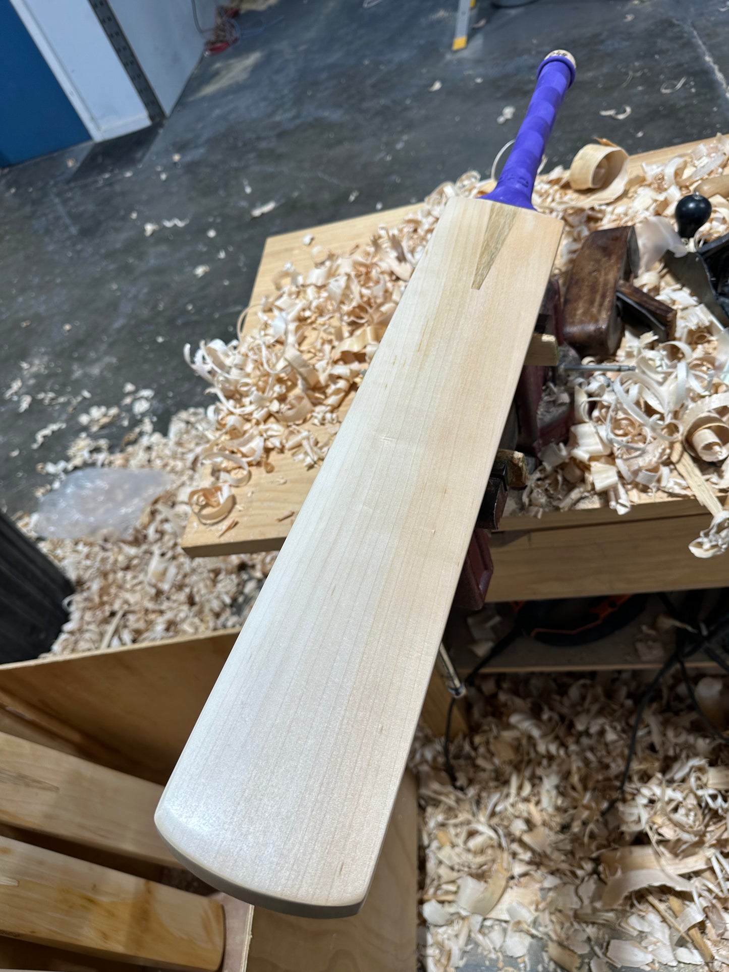 JPGavan Professional Plus Cricket Bat - 048