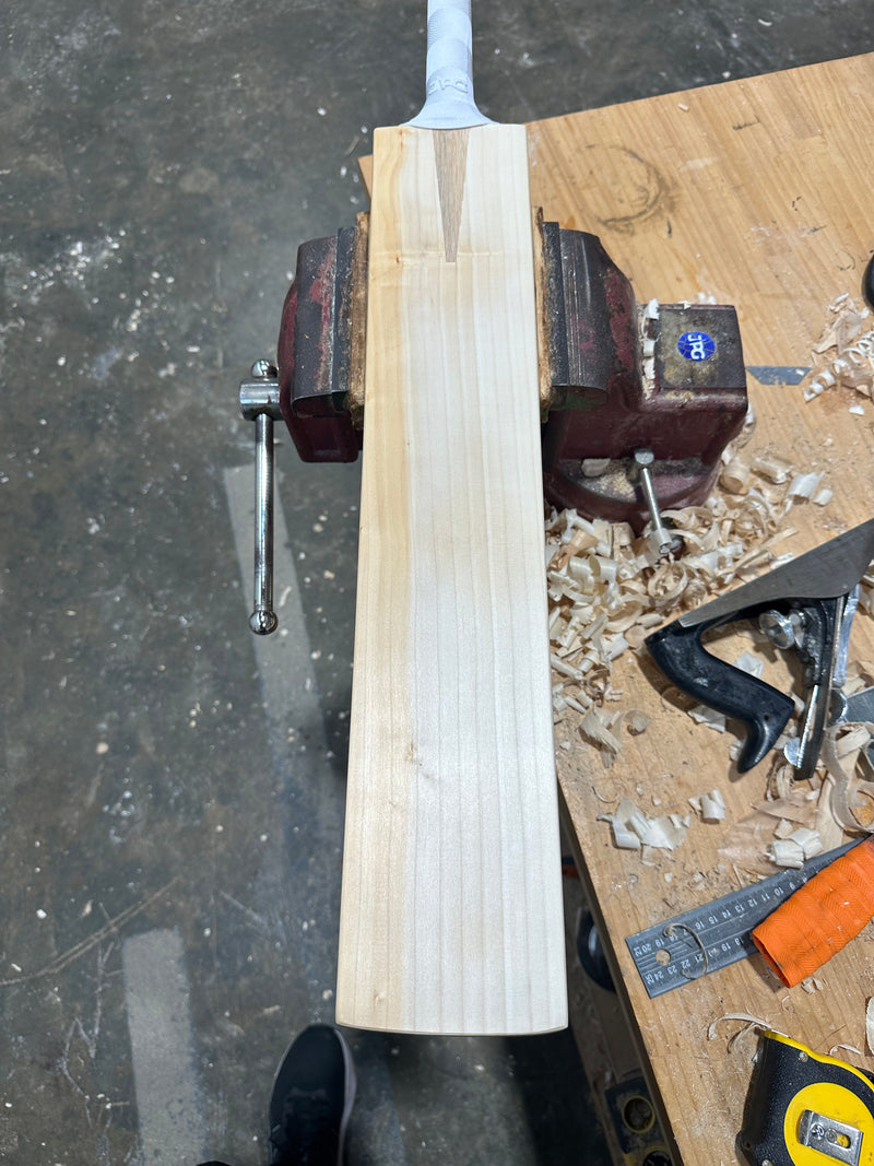 JPGavan Test Cricket Bat - 489