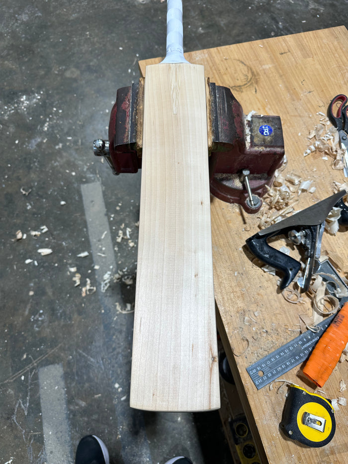 JPGavan Performance Cricket Bat - 494