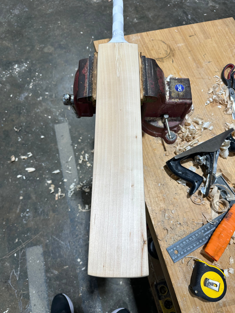 JPGavan Performance Cricket Bat - 494