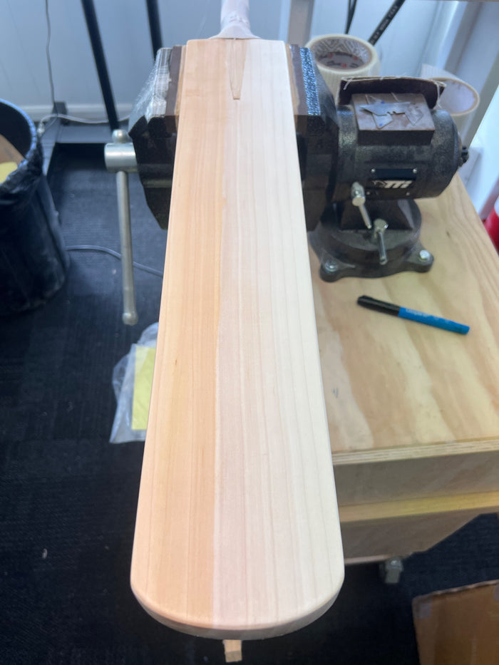 JPGavan Limited Edition Cricket Bat - B011