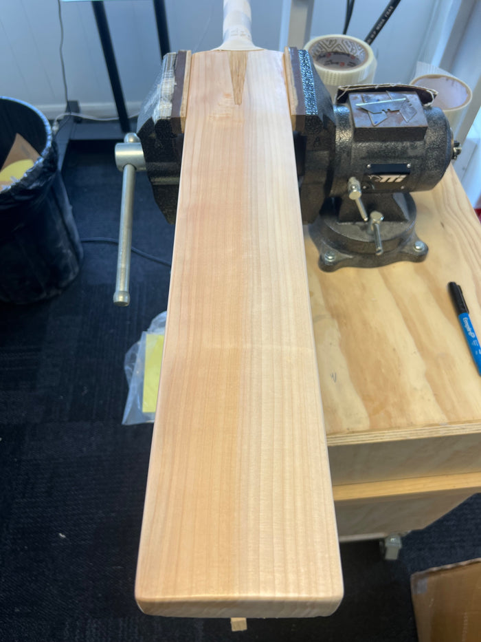 JPGavan Limited Edition Cricket Bat - B015