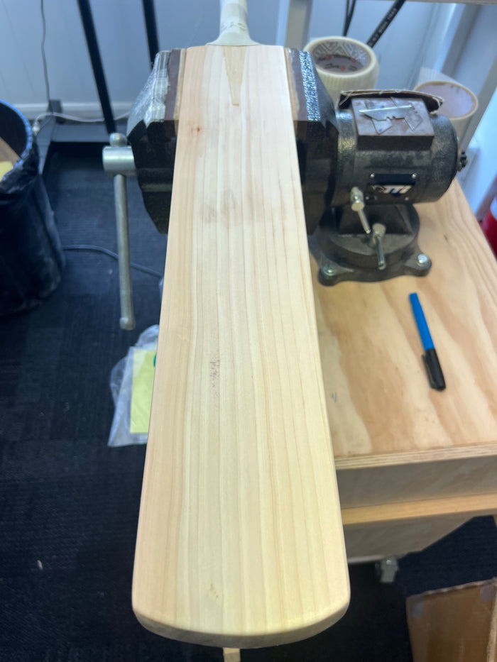 JPGavan Limited Edition Cricket Bat - B017