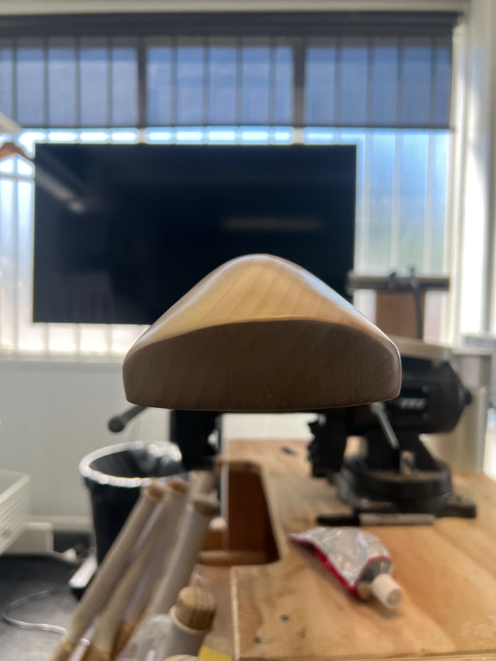 JPGavan Professional Plus Cricket Bat - B028 TORPEDO