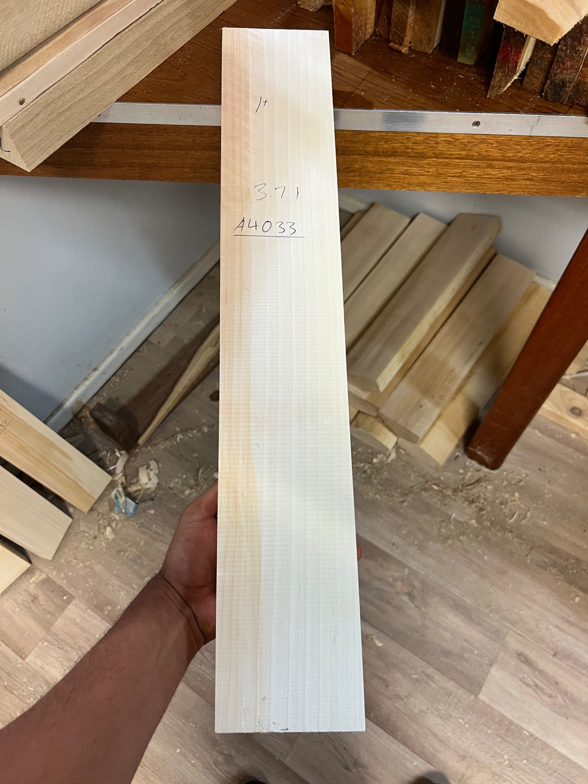 JPGavan Professional Plus - A433