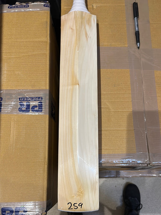 JPGavan Little Ripper Cricket Bat - 259