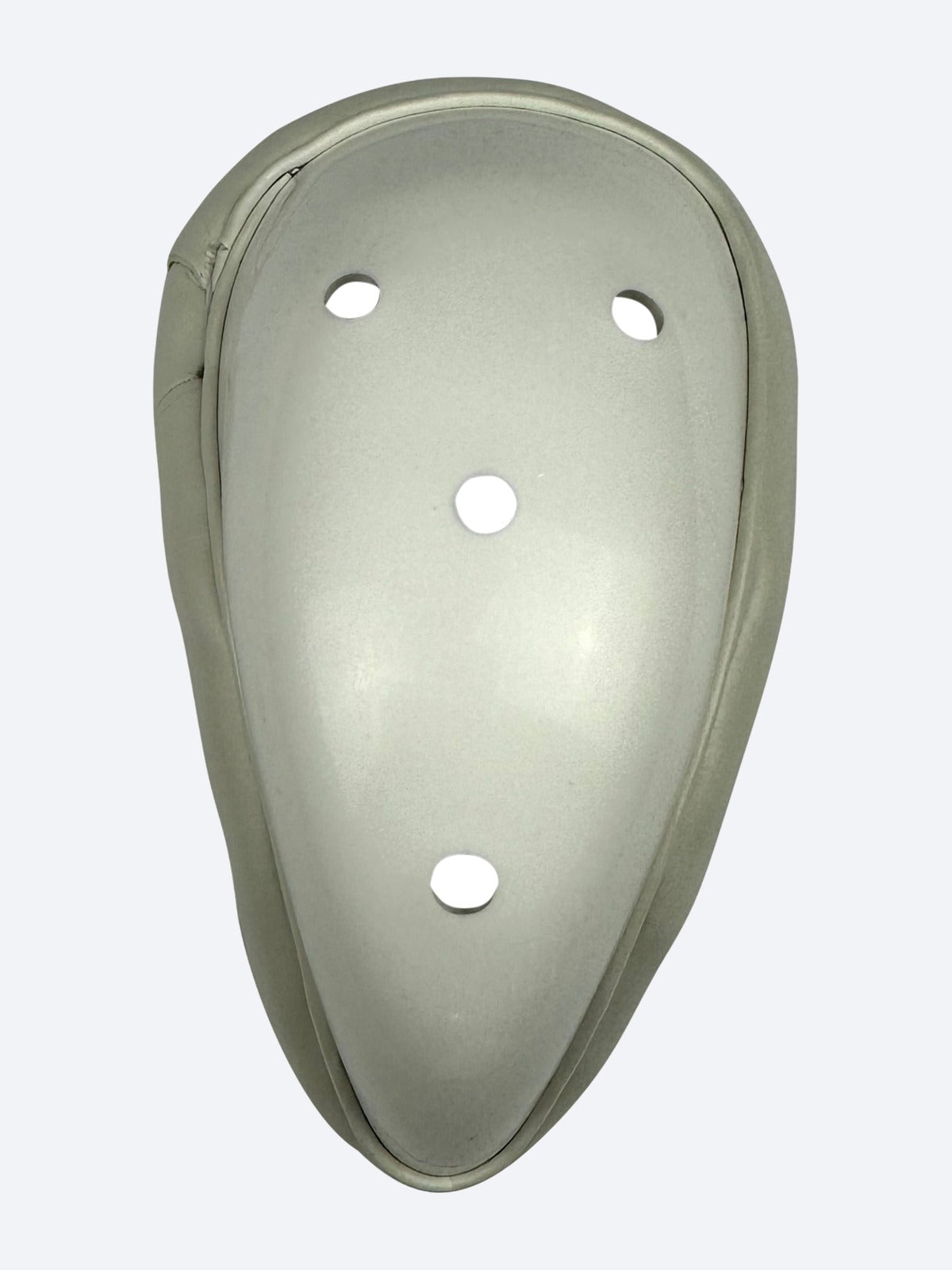 JPGavan male box protector