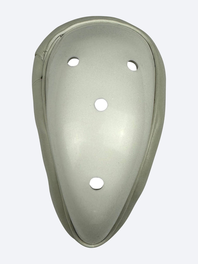 JPGavan male box protector