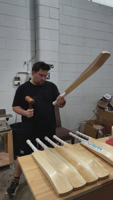 JPGavan Limited Edition Cricket Bat - 009