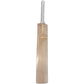 JPGavan Little Ripper Cricket Bat - 22