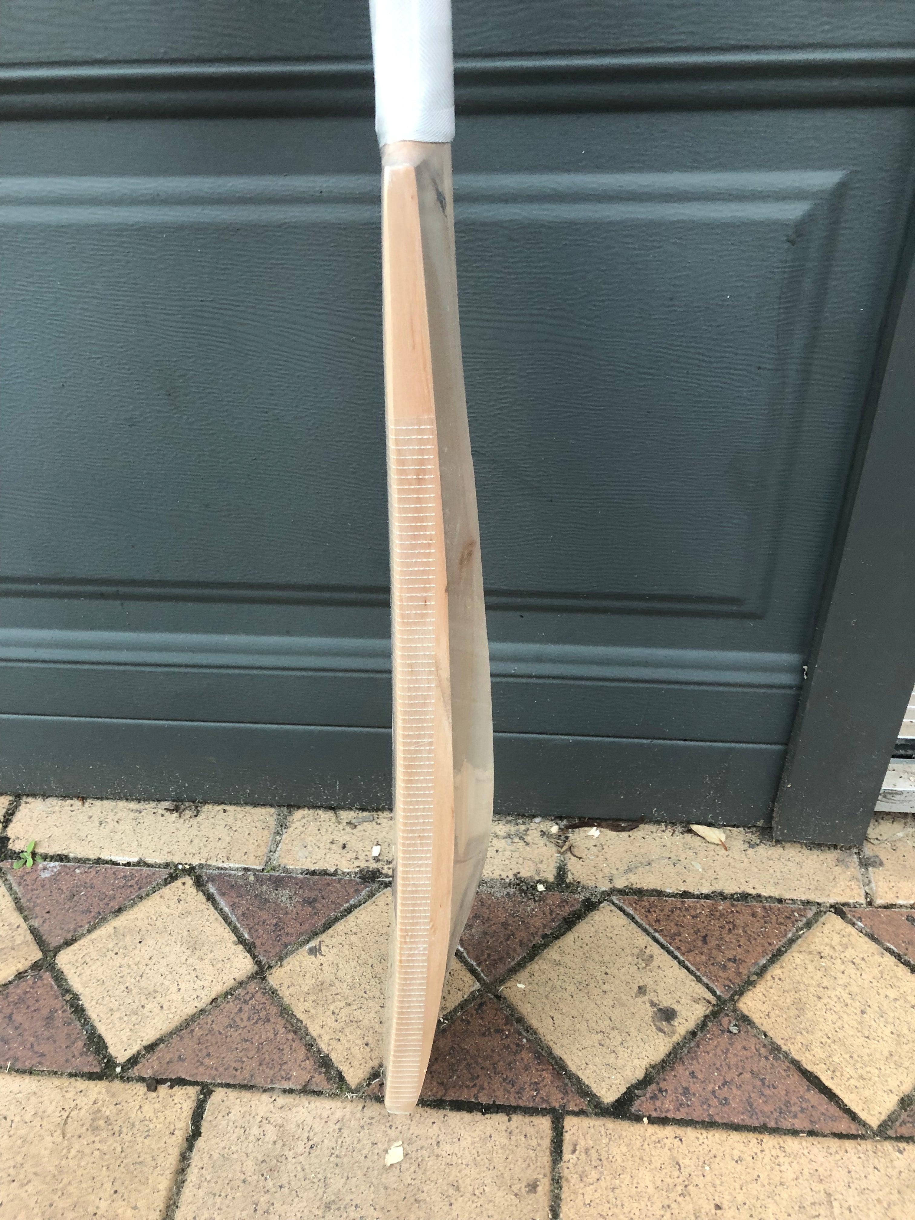 JPGavan Little Ripper Cricket Bat - 29