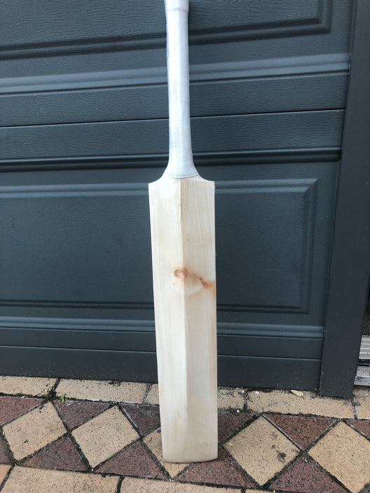 JPGavan Little Ripper Cricket Bat - 25