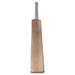 JPGavan Little Ripper Cricket Bat - 63